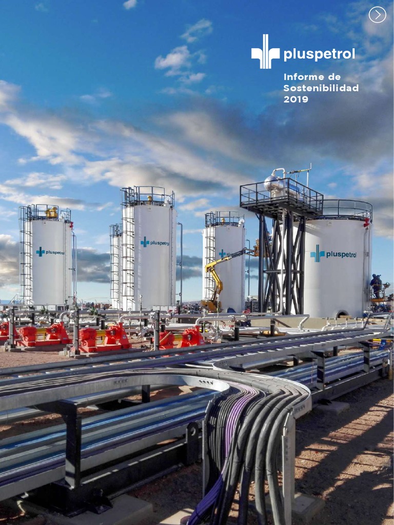 Informe de Sostenibilidad Pluspetrol 2019 | PDF | Sustentabilidad ...