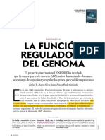 6-La Función Reguladora Del Gen Resaltado