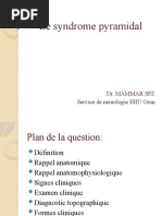 Syndrome Pyramidal | PDF | Système nerveux | Causes de décès