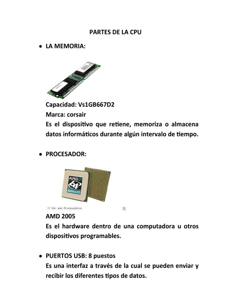 Partes Esenciales de la CPU | PDF