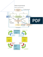 Macro Economics Cycle Contribute To The Growth Between