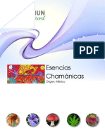chamanicas_mexico