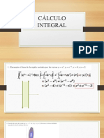 Cálculo Integral