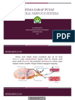 B02. Sistema Saraf Pusat