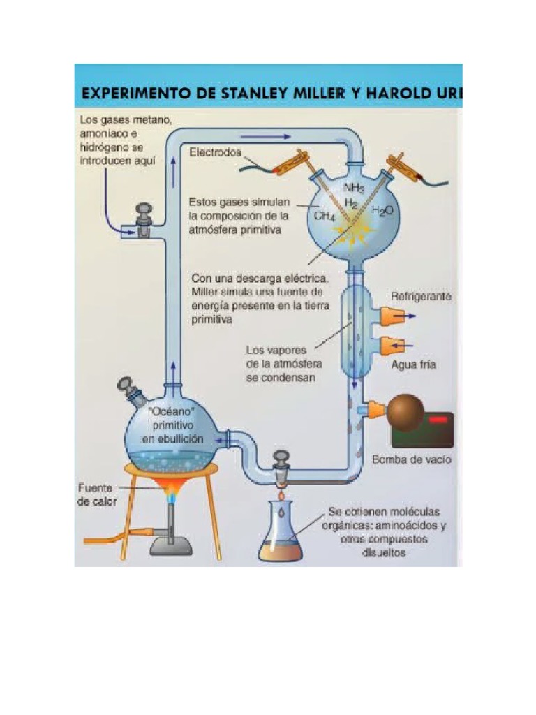 Explicacion Experimento Milley-Urey Biologia | PDF