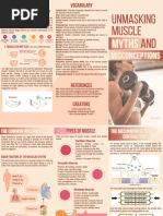 Anatomy Muscular System Brochure