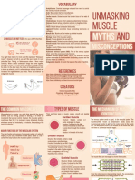 Anatomy Muscular System Brochure