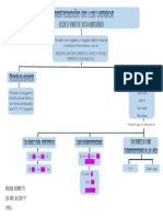 Mapa Conceptual Clasificación de Los Verbos