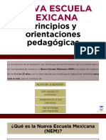 Principios y Orientaciones Ped. NEM