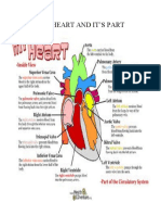 The Heart, Skin, Digestive, and Respiratory Systems and Vertebrates Project