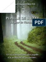 Pupille de L'etat-La Peur de L'inconnu