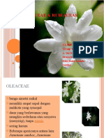 Oleaceae & Rubiaceae