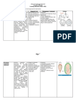 Respiratory Distress Syndrome and Meconium Aspiration Syndrome