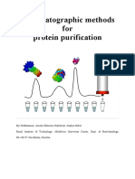 Chromatographic Methods For Protein Purification