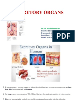 Excretory Organs