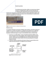 Otros Métodos para Cuantificación de Proteínas