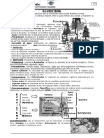 Biología 1er Año - 3er y 4to Bimestre