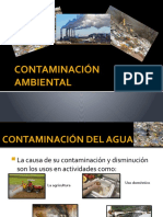 Contaminación Ambiental