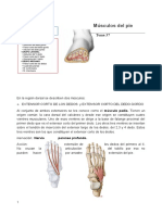 Tema 37