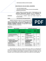 informe de consistencia