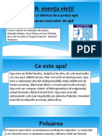 APA - Esența Vieții PDF