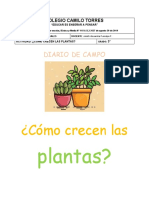 Diario de Campo