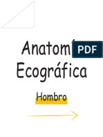 Anatomía Ecográfica Hombro