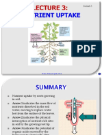 Kuliah 3-Nutrient Uptake