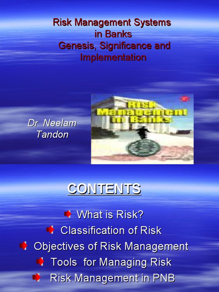 Risk Management in Banking Systems | PDF | Risk | Financial Crises