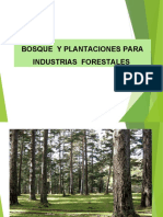 industrias forestales
