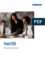 Powerstim: Well Optimization Service