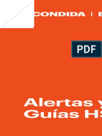 GUIAS Y ALERTAS HSE - Minera Escondida