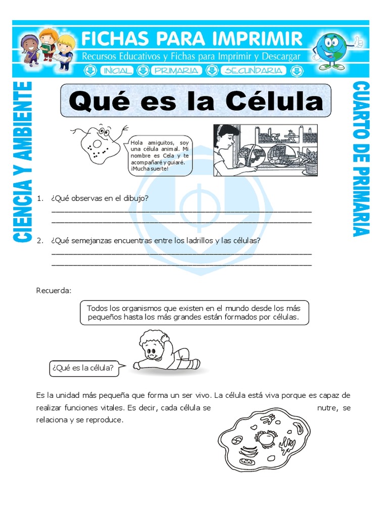 Ficha Que Es La Celula para Cuarto de Primaria | PDF | Biología Celular) |  Vacuole, image size:768x1024