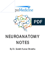 Neuroanatomy Notes Compressed