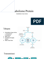 Metabolisme Protein Katabolisme