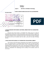 Calabano Clinical Bacteriology Activity 1