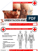 03 Orientacion Anatomica