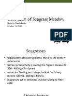 Ecosystem of Seagrass Meadow - S1