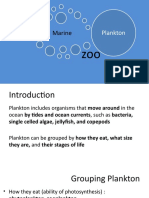 Biologi Laut S1 - Plankton