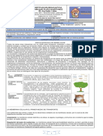 Grado 7. Generalidades de La Circulacion