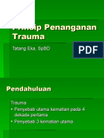 Trauma Prinsip