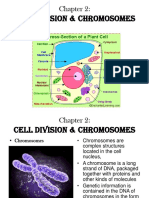 Cell Division & Chromosomes