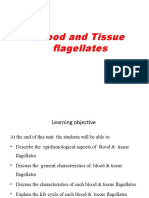 Blood and Tissue Flagellates - Leishmania