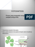 4.Photosynthesis