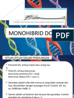 Monohibrid Dominan 1