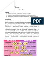 Lab. Mitosis y Meiosis.