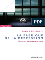 La Fabrique de La Dépression by Xavier Briffault