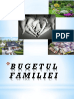 bugetul_familiei