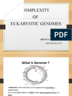 Complexity of EUKARYOTic Genome