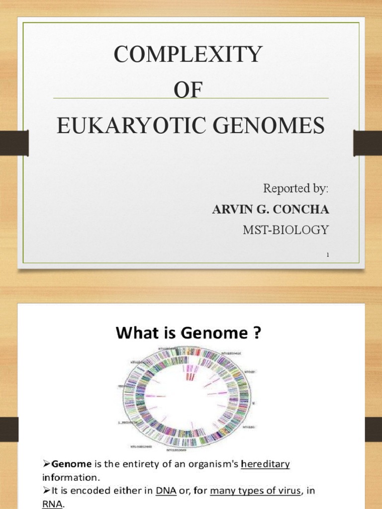 Eukaryotic Genome Complexity Explained | PDF